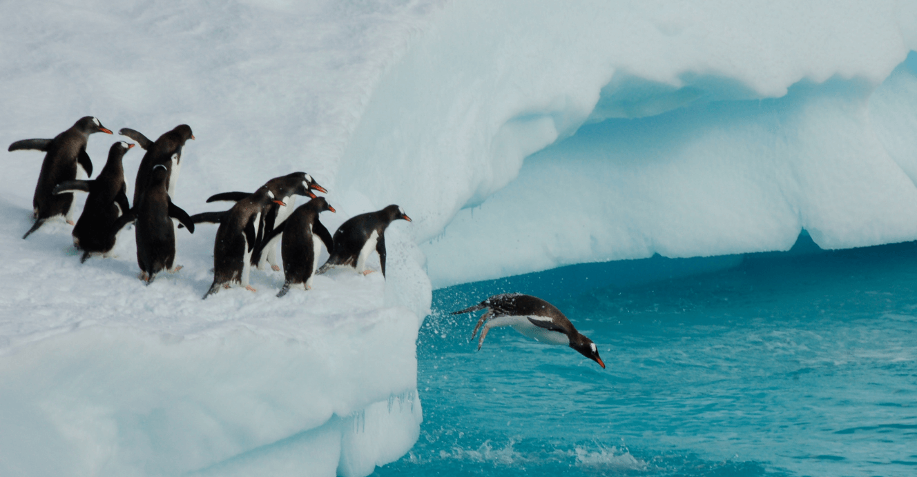 11 faits intéressants sur l'Antarctique