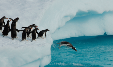 11 faits intéressants sur l'Antarctique